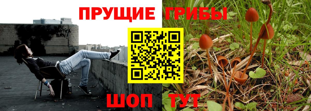 Галлюциногенные грибы Cubensis  Вход с VPN  Салехард  Галлюциногенные грибы Psilocybine cubensis 