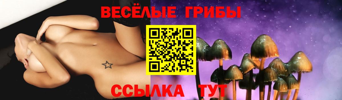 Псилоцибиновые грибы MAGIC MUSHROOMS Салехард